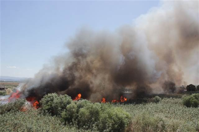 Edremit Körfezinde yangın