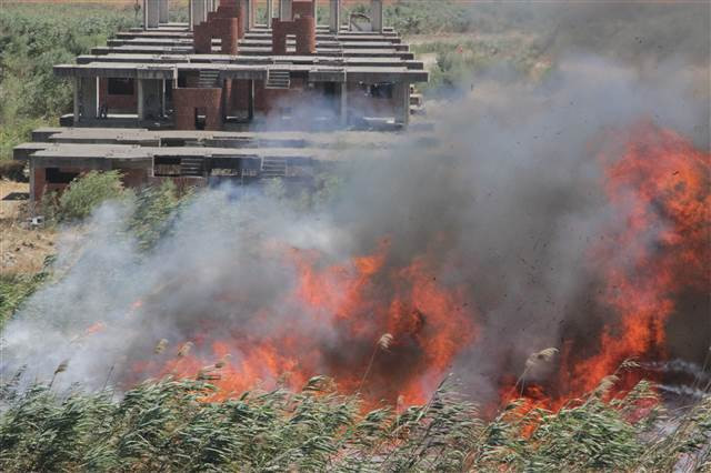 Edremit Körfezinde yangın