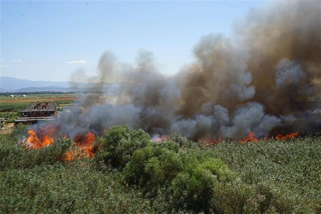 Edremit Körfezinde yangın