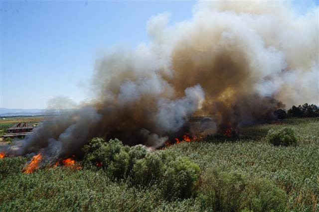 Edremit Körfezinde yangın
