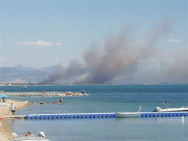 Edremit Körfezinde yangın