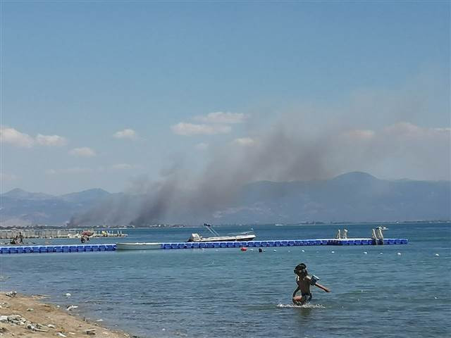 Edremit Körfezinde yangın