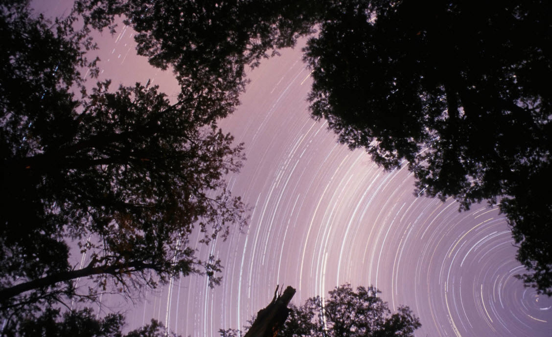 Bu gece gökyüzüne bakın Perseid yağmuru başlıyor Bu gece gökyüzüne bakın Perseid yağmuru başlıyor