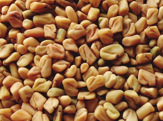 Çemenotu