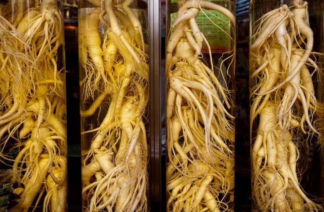 Ginseng
