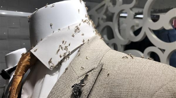 Karsı karasinekler bastı, esnaf ne yapacağını şaşırdı