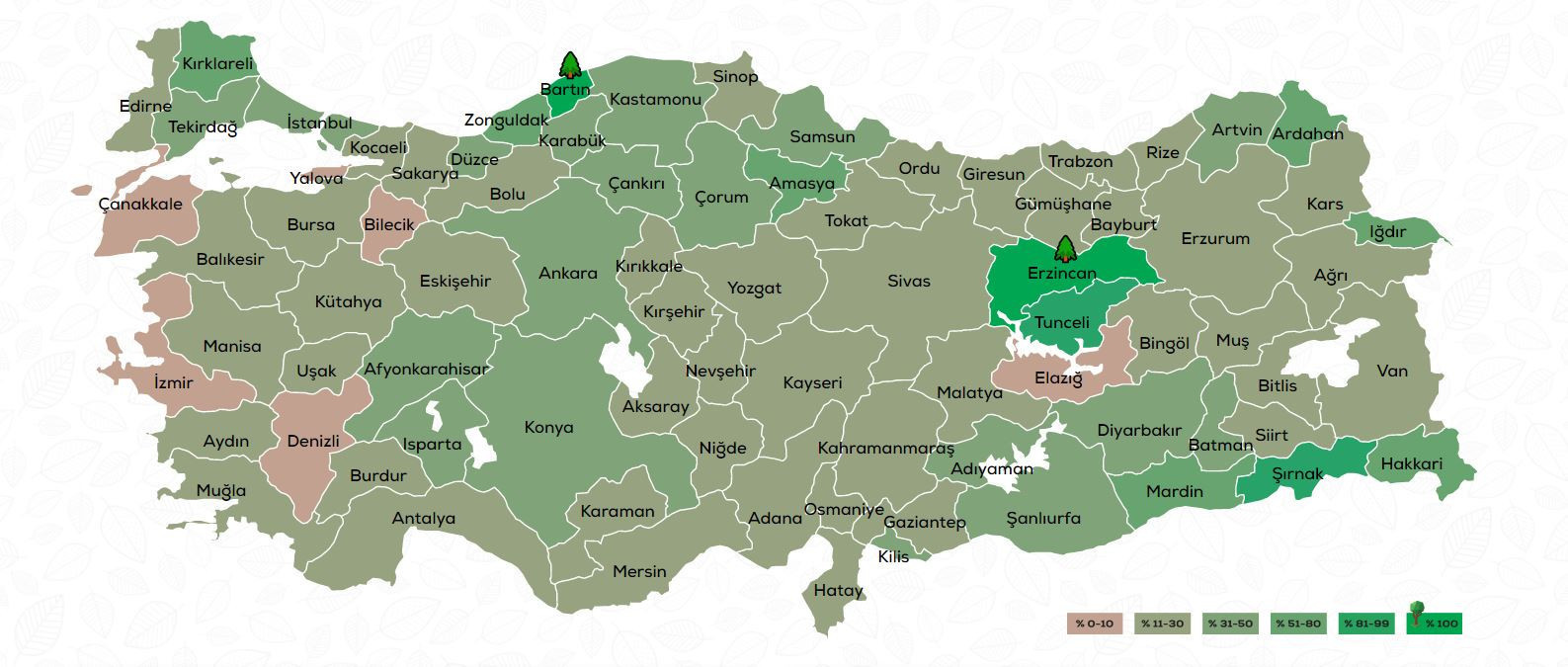 Geleceğe Nefes ağaç ve fidan dikme kampanya katılım belgesi nasıl alınır