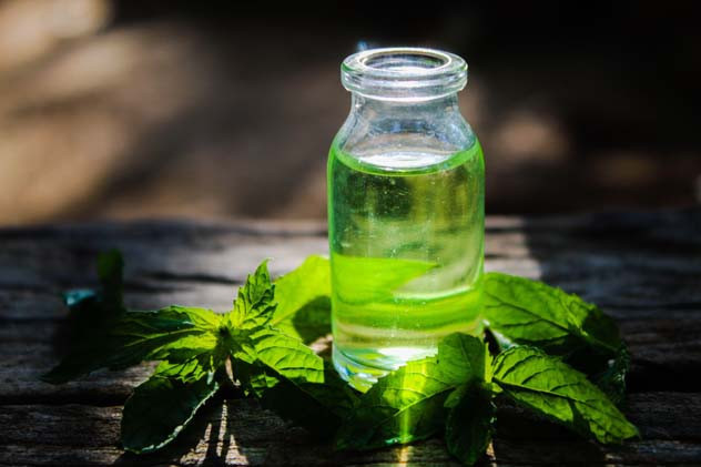 Nasıl kullanılır Nasıl kullanılır