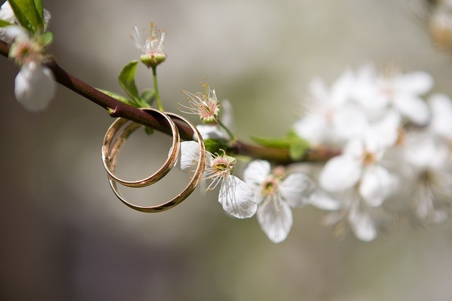 Alyans Modelleri - Çift, Klasik, Altın, Gümüş, Taşlı Ve Sade Erkek Ve Kadın İçin Alyans Modelleri