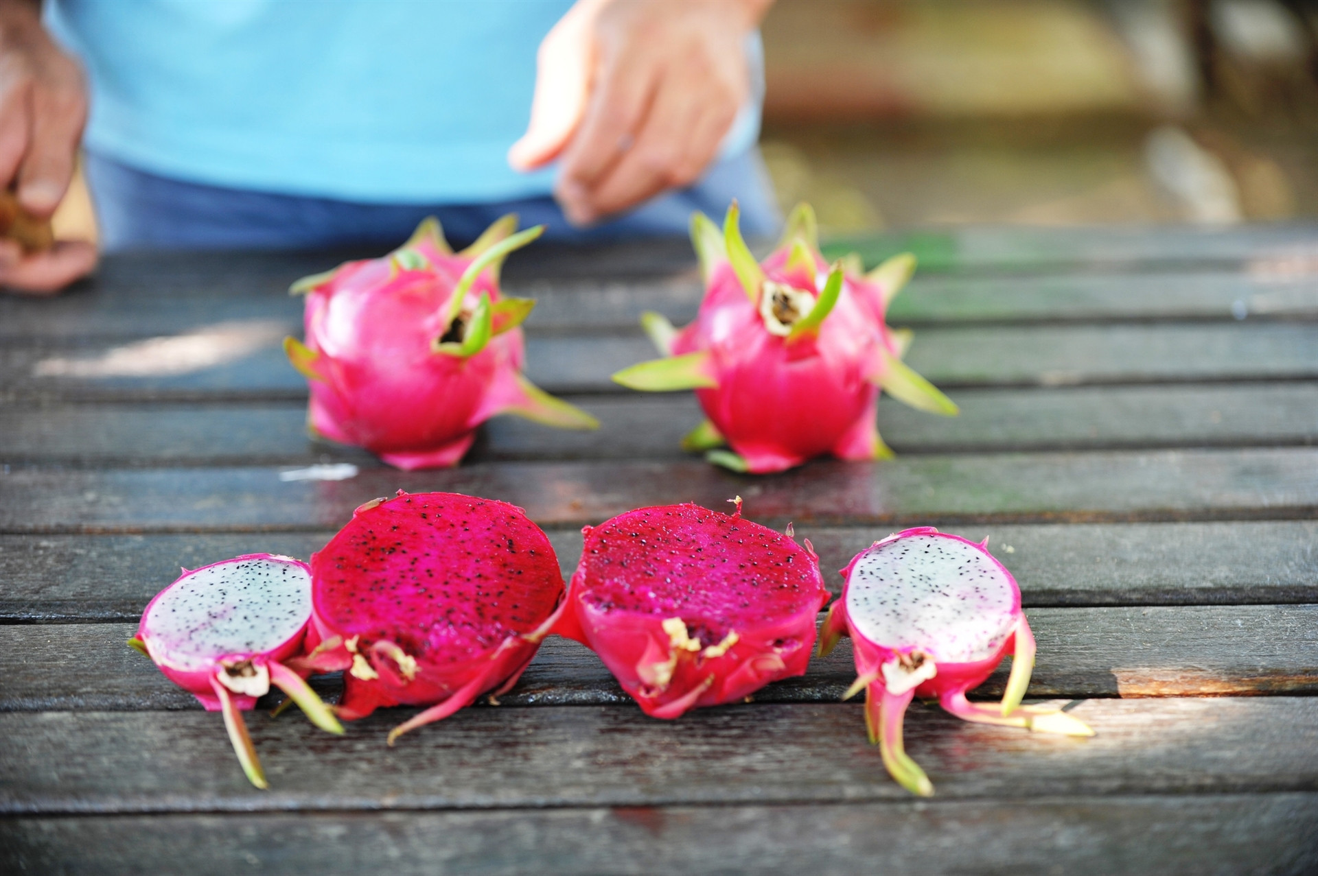 Marmara ejder meyvesinin üretim üssü olacak