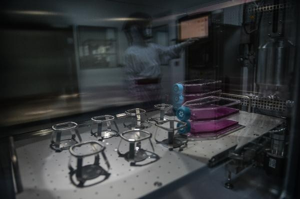 Bakan Koca müjde olarak duyurmuştu... Tüm detayları ilk kez paylaştı