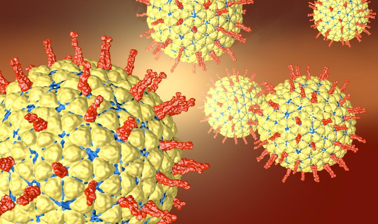 Rota virüsü nedir, nasıl bulaşır İşte rota virüsü aşısı ve belirtileri Rota virüsü nedir, nasıl bulaşır İşte rota virüsü aşısı ve belirtileri