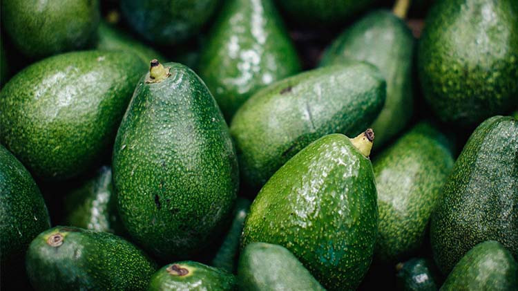 Üretimde Narenciyeye Rakip Oldu, Faydaları Saymakla Bitmiyor: Avokado Üretimde Narenciyeye Rakip Oldu, Faydaları Saymakla Bitmiyor: Avokado