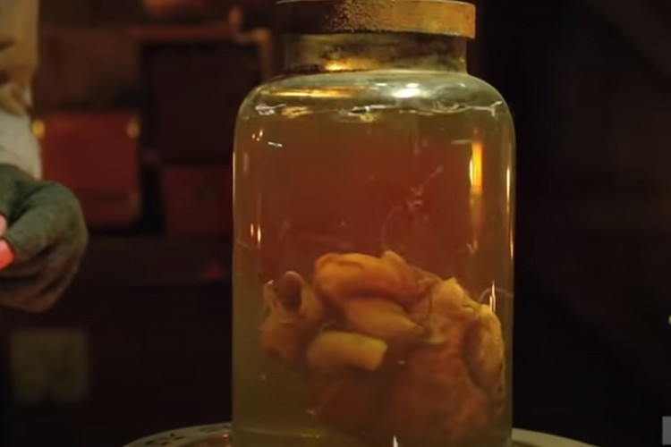 The Strain