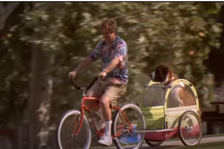 Afacan Köpek Beethoven Afacan Köpek Beethoven