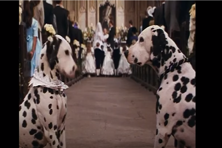 101 Dalmaçyalı 101 Dalmaçyalı