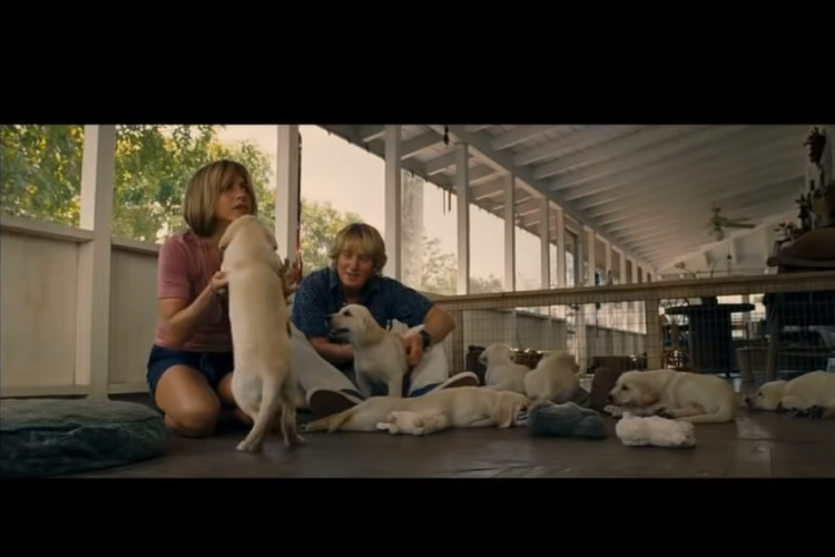 Marley ve Ben Marley ve Ben