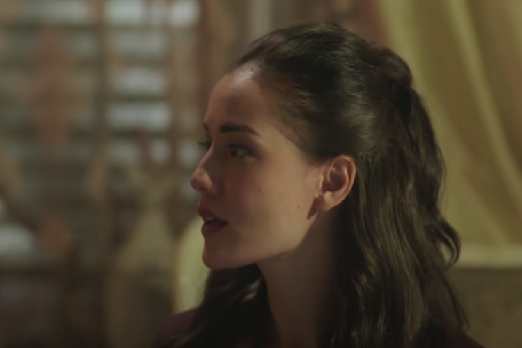 Çalıkuşu (2013)