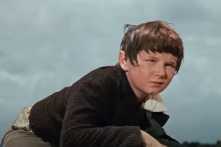 İsviçreli Robinson Ailesi