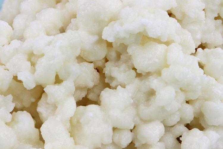 Ev yapımı meyveli kefir