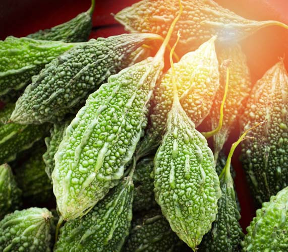 Kudret narının faydaları nelerdir Tüketirken nelere dikkat edilmeli