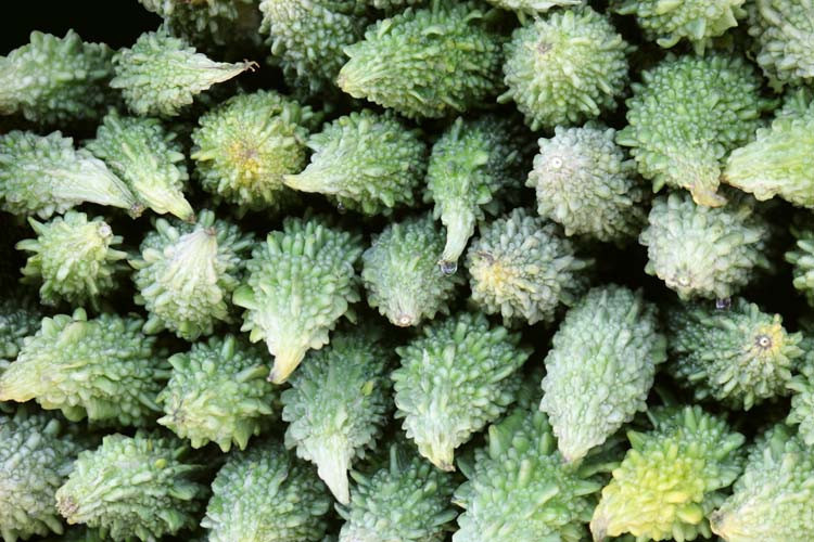 Kudret narı nasıl kullanılır