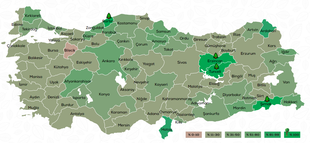 Geleceğe Nefes Ol başvurusu nasıl yapılır Geleceğe Nefes kampanyası katılım belgesi ekranı