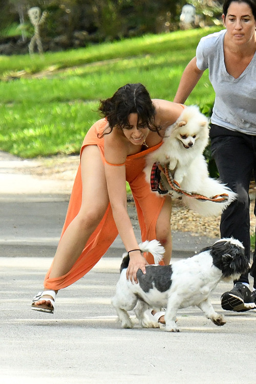 Bütün köpekleri sevdi Bütün köpekleri sevdi