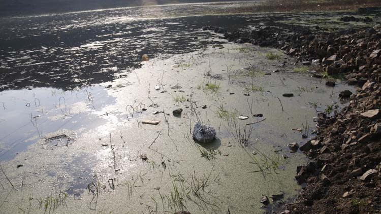 Alibeyköy Barajında korkutan görüntü