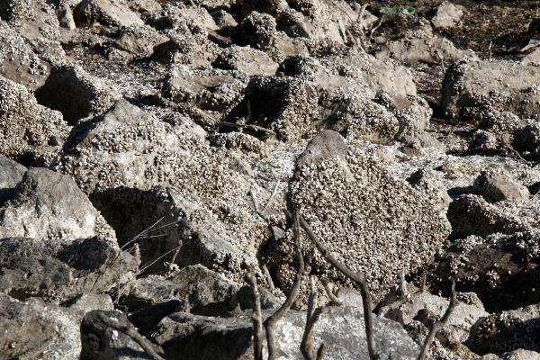 Çanakkalede baraj boşaldı, su kullanımıyla ilgili yasaklar geldi