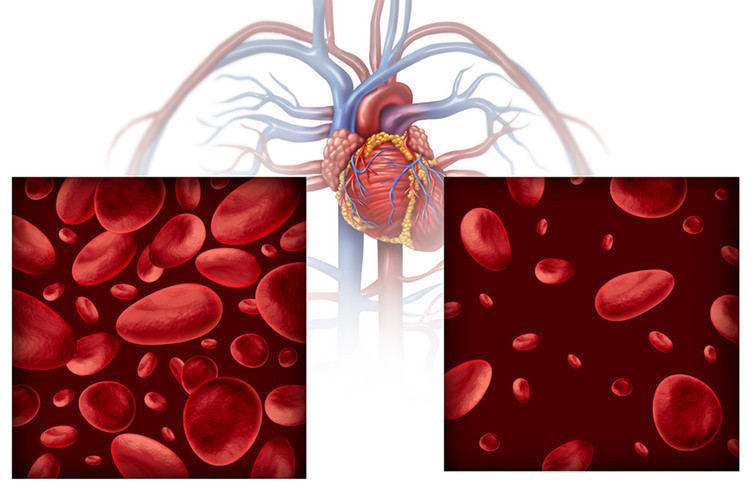 Kansızlığın belirtileri nelerdir