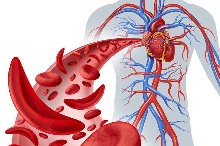 Kansızlık hangi hastalıklara neden olur