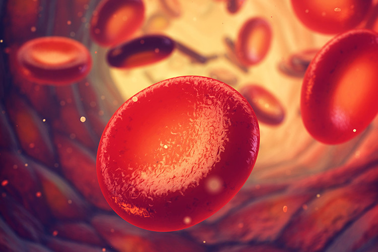 Eksikliği pek çok hastalığı tetikliyor... Kansızlık en sık kadınlarda görülüyor