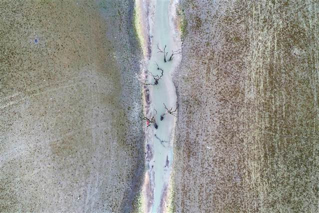 Sazlıdere Barajı’nda korkutan manzara