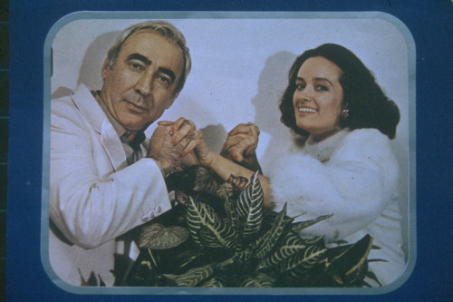 SİNEMALAR ÖNÜNDE KUYRUKLAR OLUŞTU