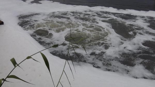 Büyük Menderes Nehrinde kirlilik 4ncü dereceye ulaştı