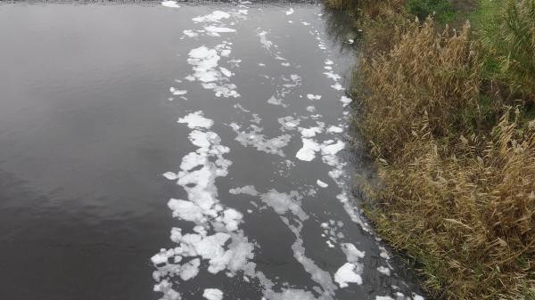 Büyük Menderes Nehrinde kirlilik 4ncü dereceye ulaştı