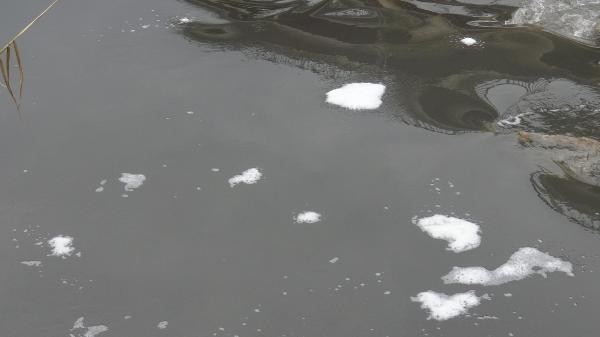 Büyük Menderes Nehrinde kirlilik 4ncü dereceye ulaştı