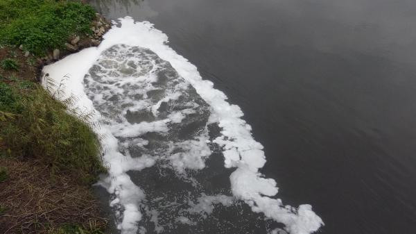 Büyük Menderes Nehrinde kirlilik 4ncü dereceye ulaştı