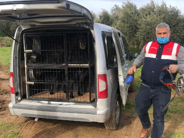 Manisada ölü bulunan 4 gençten geriye omuz omuza çekilmiş fotoğrafları kaldı