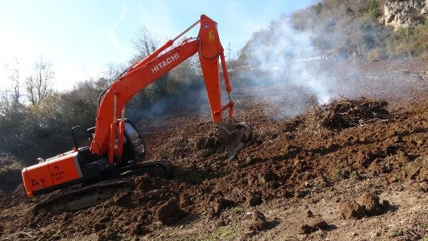 Trabzonda drakula tehlikesi giderek büyüyor Ağaçlar yakılıyor