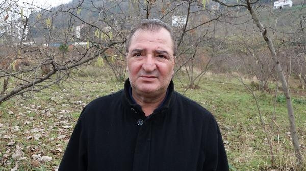 Trabzonda drakula tehlikesi giderek büyüyor Ağaçlar yakılıyor