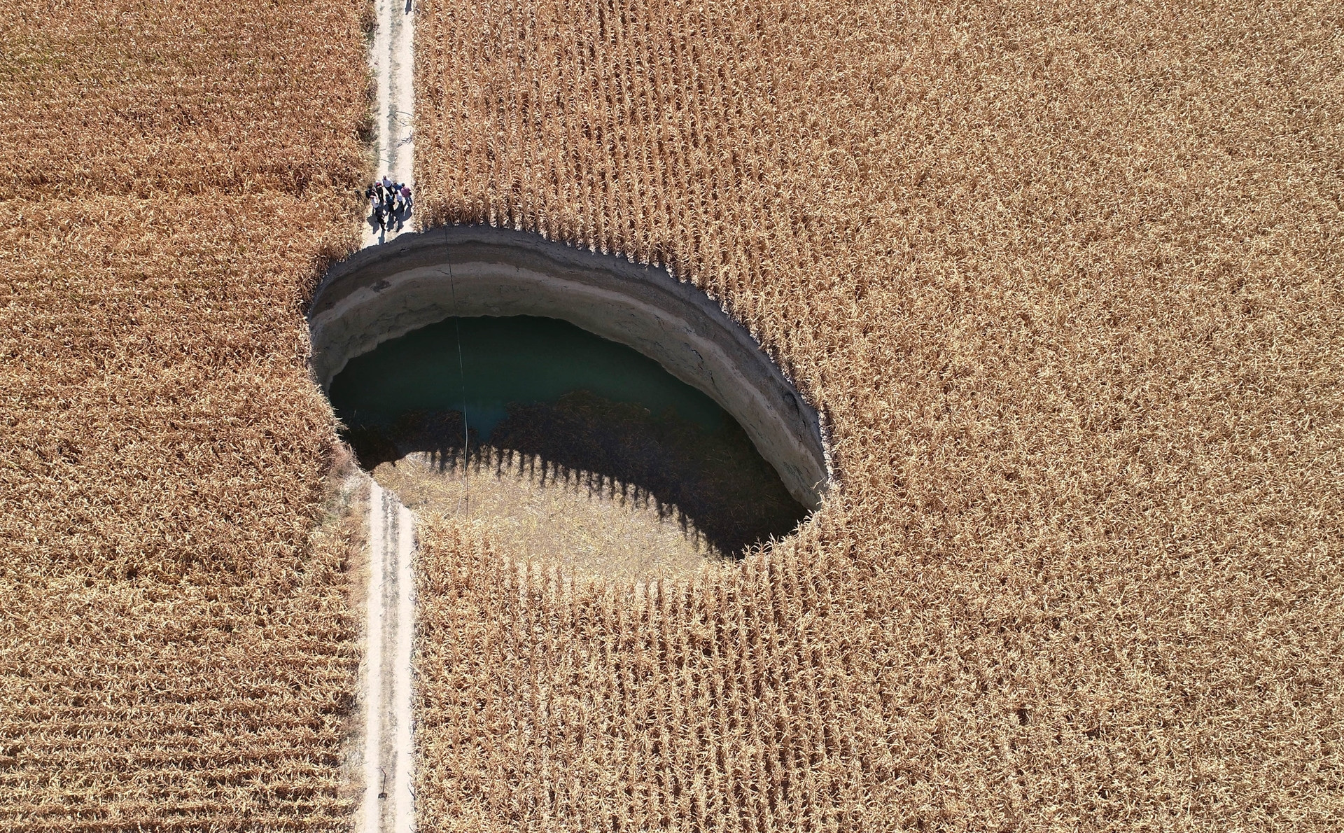 Sayıları 600e ulaştı Tedirgin görüntü