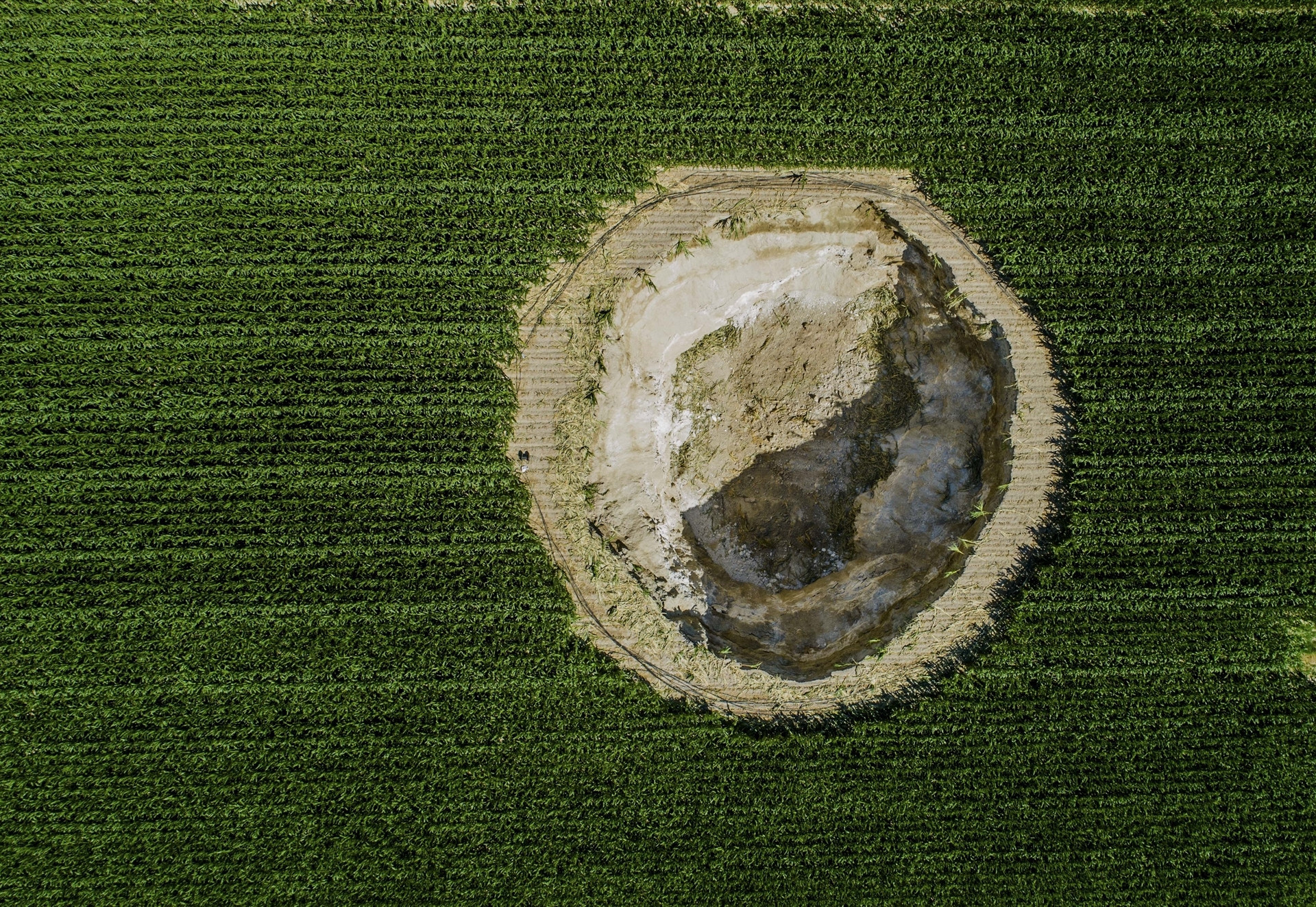 Sayıları 600e ulaştı Tedirgin görüntü