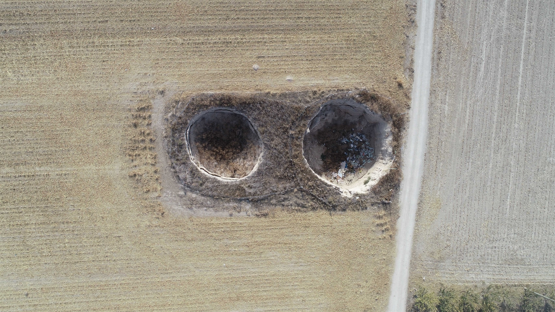 Sayıları 600e ulaştı Tedirgin görüntü