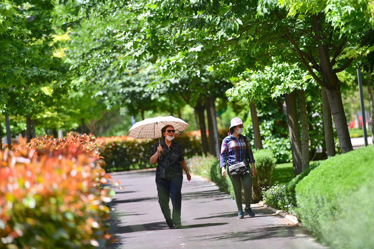 65 YAŞ ÜSTÜ VE 20 YAŞ ALTI SOKAĞA ÇIKMA YASAĞI NE ZAMAN KALKACAK
