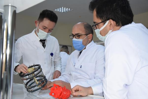 Türk bilim adamları kudret narının kemik kırığı tedavisinde kullanılabileceğini ispatladı
