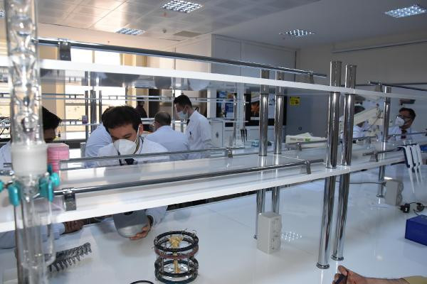 Türk bilim adamları kudret narının kemik kırığı tedavisinde kullanılabileceğini ispatladı