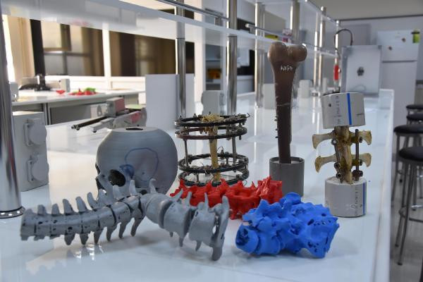 Türk bilim adamları kudret narının kemik kırığı tedavisinde kullanılabileceğini ispatladı