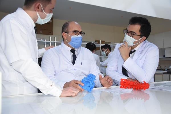 Türk bilim adamları kudret narının kemik kırığı tedavisinde kullanılabileceğini ispatladı